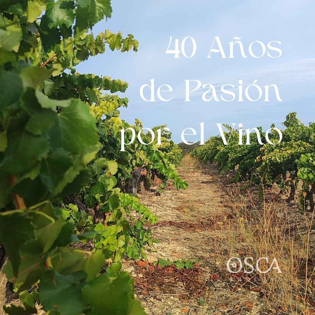 40 años de historia de Bodegas Osca