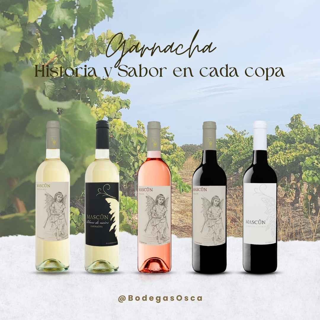 los vinos garnacha de Bodegas Osca