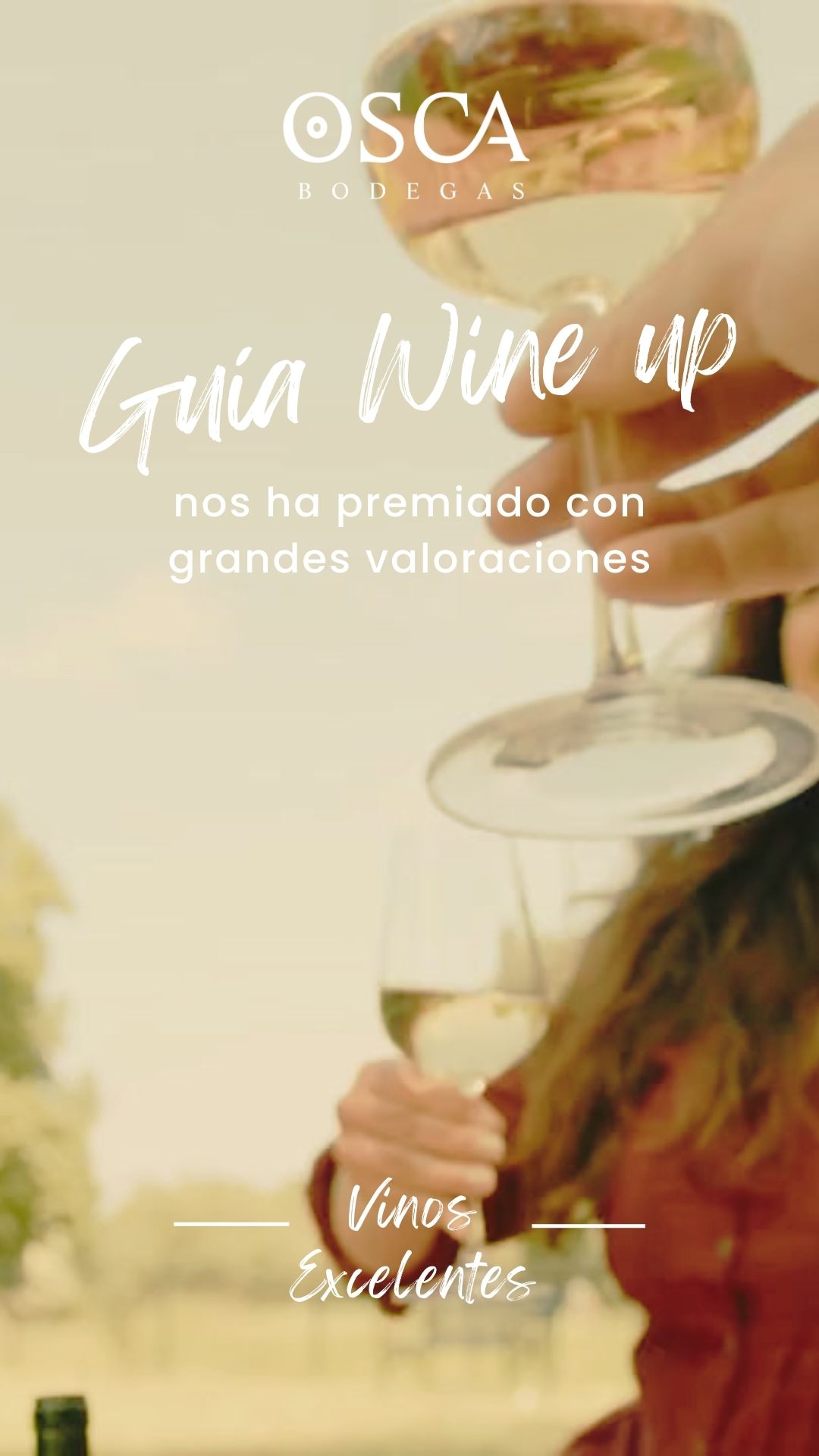 vinos excelentes bodegas osca