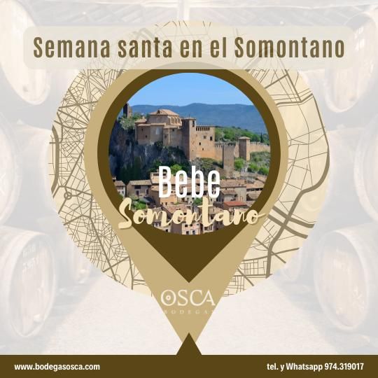 Enoturismo Bodegas Osca