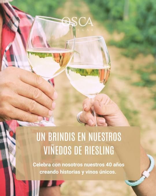brinda con riesling de mascun