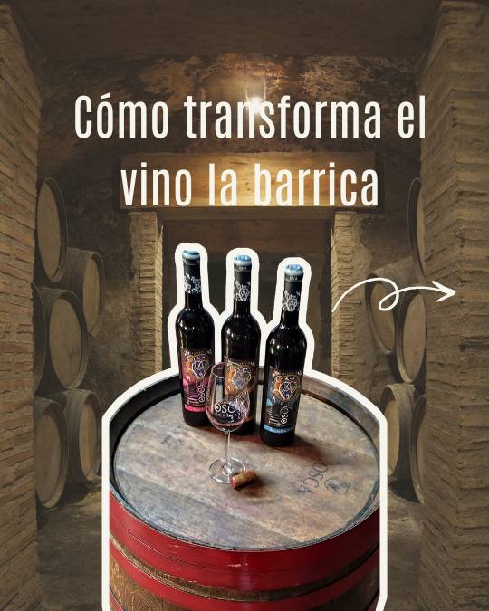 como la barrica transfoma el vino