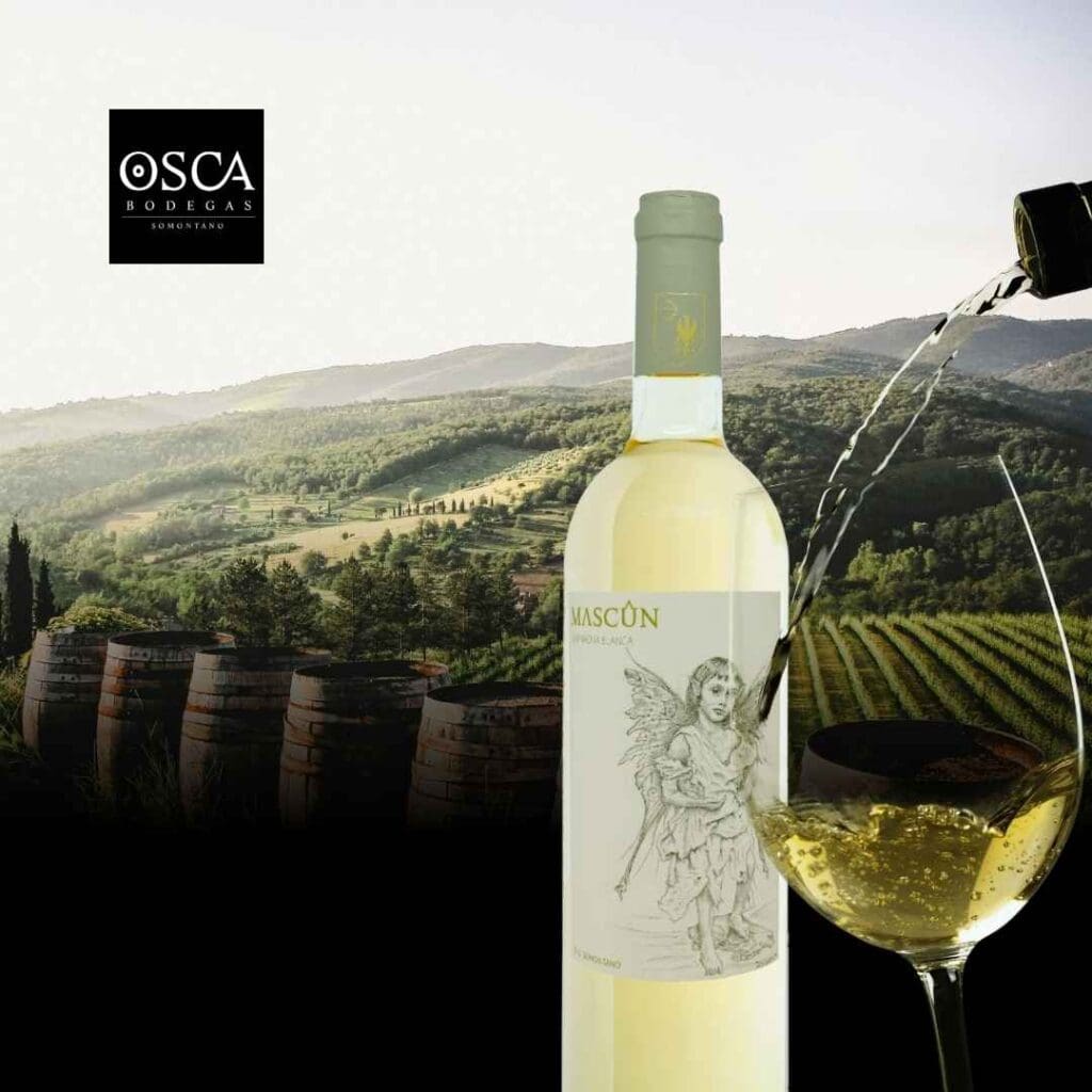 vino blanco mascun garnacha blanca