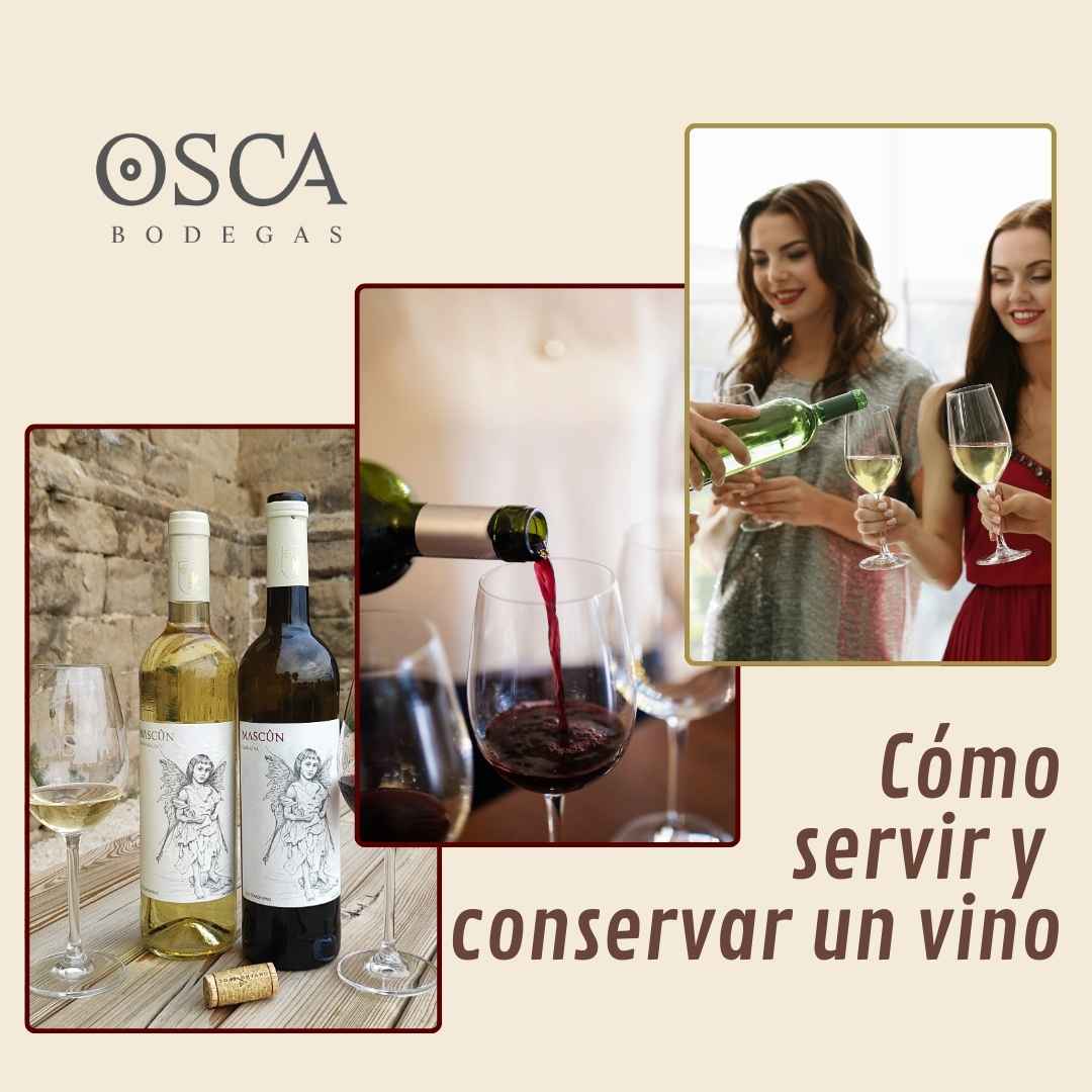 consejos del enologo