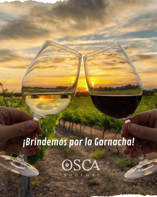 dia mundial de la garnacha, vinos mascun