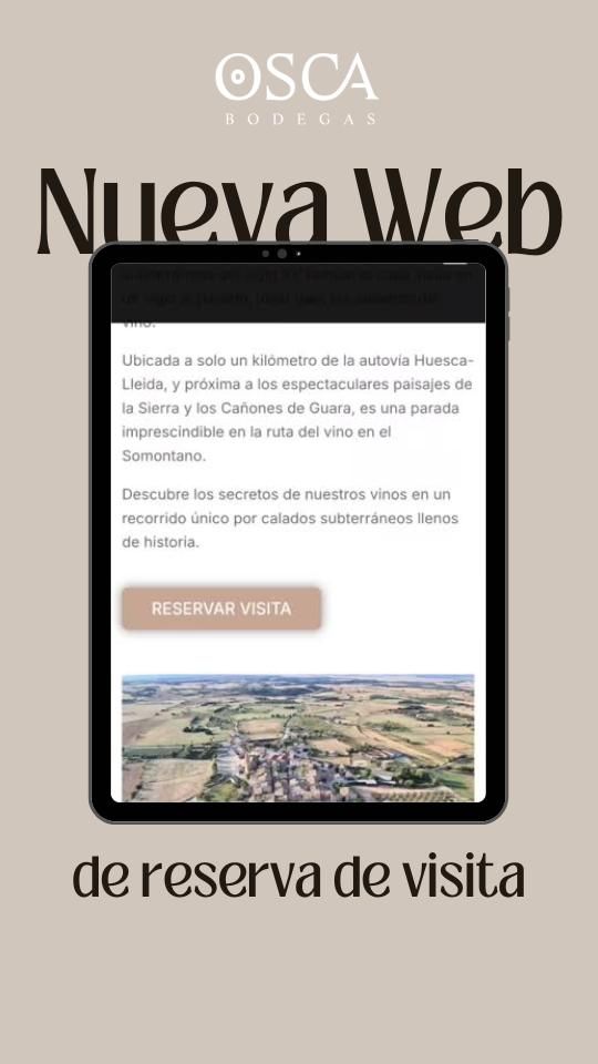 nueva web de reservas de experiencias vino
